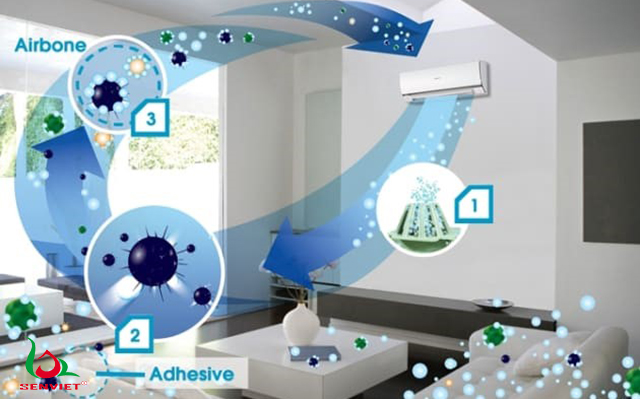 Bí kíp làm sạch không khí trong nhà trong mùa dịch bệnh Bí kíp làm sạch không khí trong nhà trong mùa dịch bệnh
